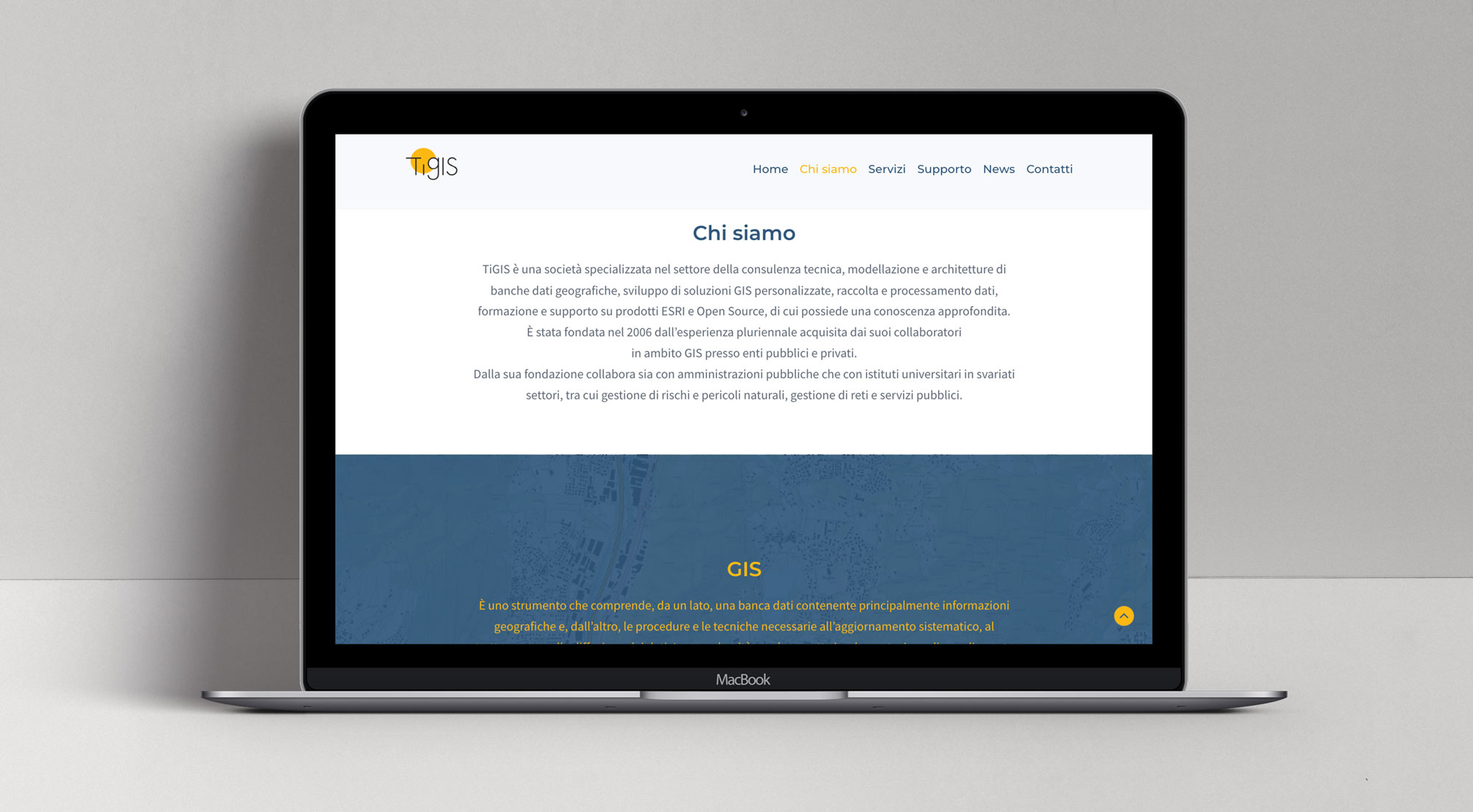 TiGis-03